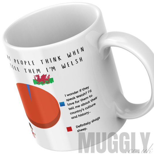 What People Think When I Tell Them I'm Welsh - Mug